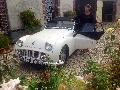 Photo 2013 - Triumph TR3A_065.jpg